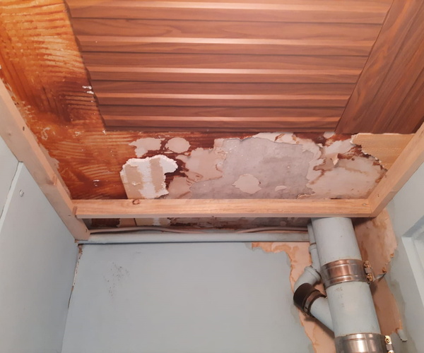 Wasserschaden in der Zwischendecke