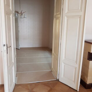 Rahmentüre in Wiener Altbauwohnung saniert