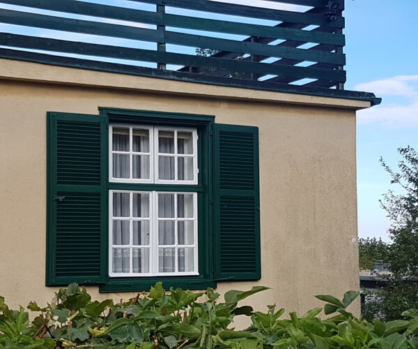 Fensterläden tauschen oder sanieren