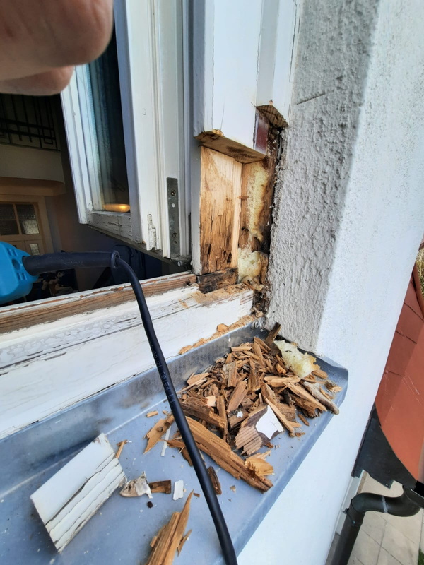 Freigelegte Schadstelle an einem Holzfenster während der Reparatur