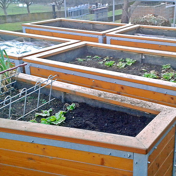 Hochbeet und Pergolen bauen
