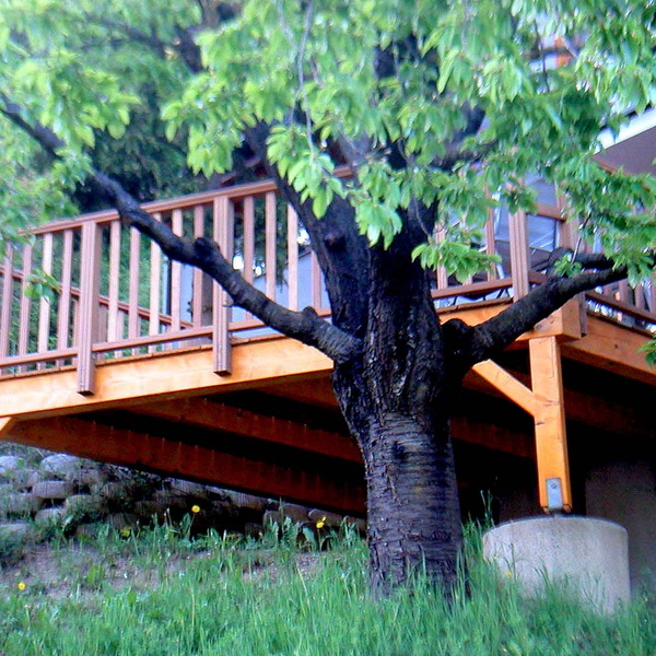 Terrassenanbau