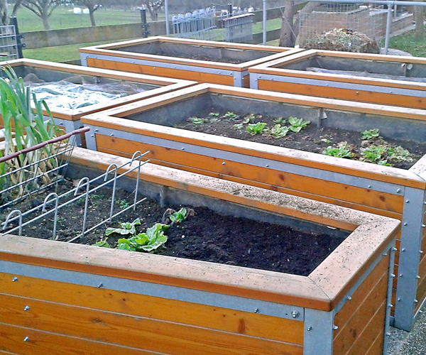 Hochbeet und Pergolen bauen