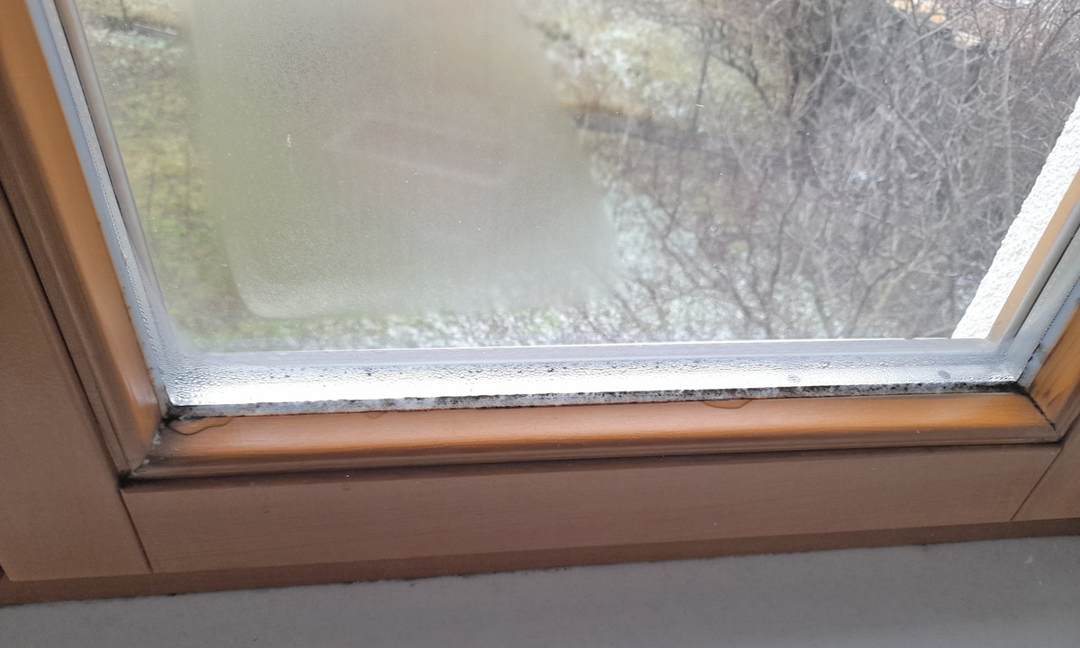 Schadensbild Fenster - Schimmelbildung auf Fenstersilikon